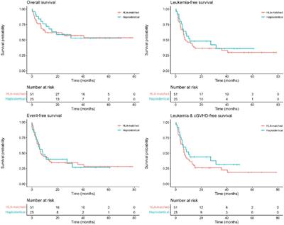 Haploidentical vs. HLA-matched donor hematopoietic stem-cell transplantation for pediatric patients with acute lymphoblastic leukemia in second remission: A collaborative retrospective study of the Spanish Group for Bone Marrow Transplantation in Children (GETMON/GETH) and the Spanish Childhood Relapsed ALL Board (ReALLNet)